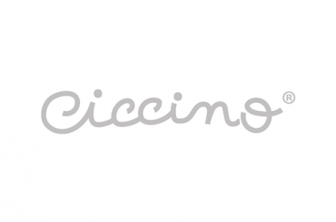 Ciccino